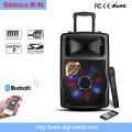 10 Inch Outdoor Bluetooth Portable Head Lever Speaker
